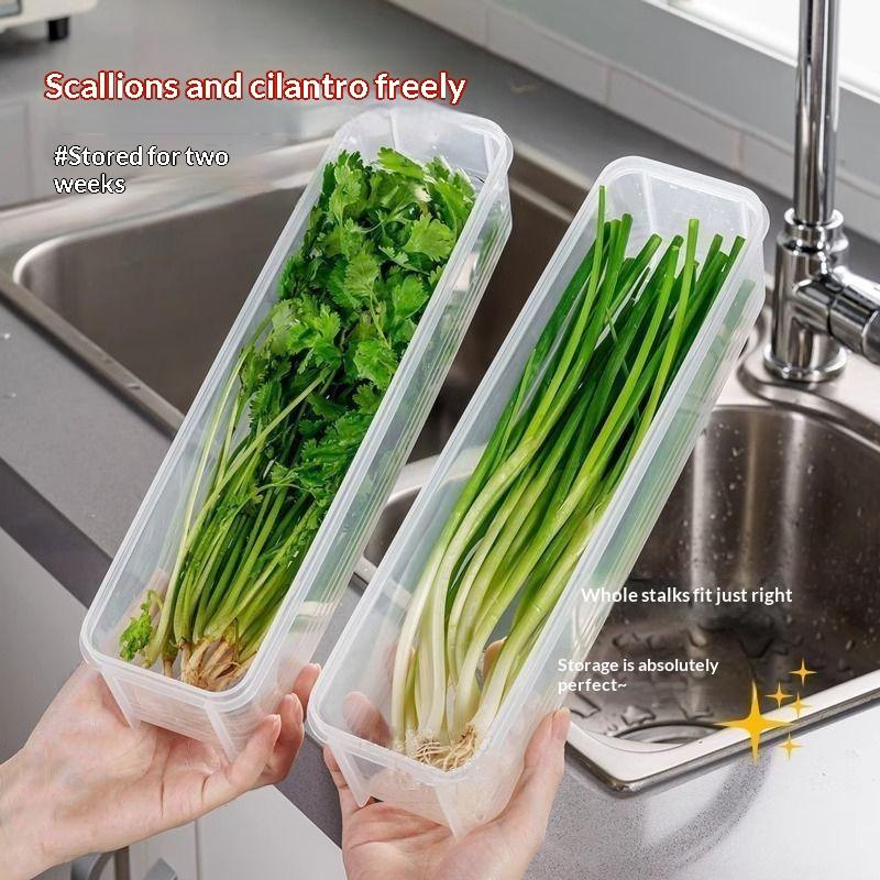 Kotak Penyimpanan Makanan Plas - Meal Prep Noodles ulasan dan harga